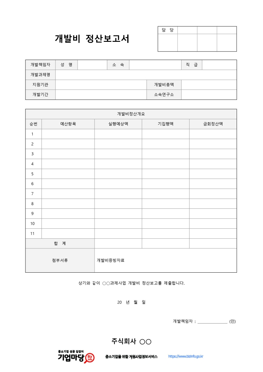 개발비 정산보고서 미리보기