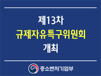 제13차 규제자유특구위원회 개최