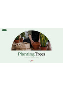 나무 키우기 (Planting Trees) 파워포인트 미리보기