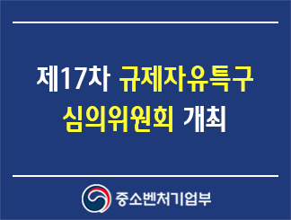 제17차 규제자유특구 심의위원회 개최